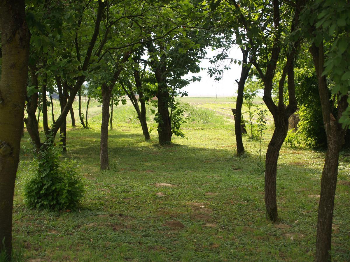 Pannonia Terranova Hotel Vardarac Exterior photo